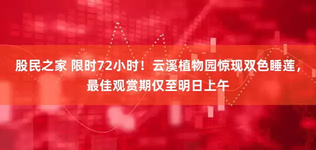 股民之家 限时72小时！云溪植物园惊现双色睡莲，最佳观赏期仅至明日上午