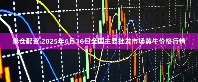 泰仓配资 2025年6月16日全国主要批发市场黄牛价格行情