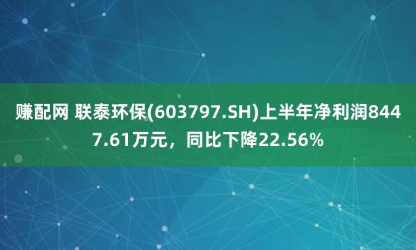 赚配网 联泰环保(603797.SH)上半年净利润8447.61万元，同比下降22.56%